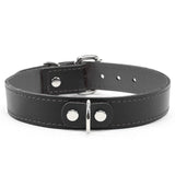 Madison Leather Kitten Collar 1" – BDSM Day Fashion Gear | Madison Collection