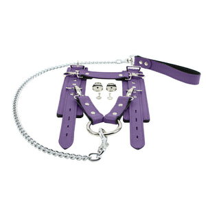 Leather BDSM Handcuffs with Fur Lining and Chain Lead | Atlas Collection