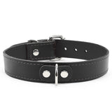 Madison Leather Kitten Collar 1" – BDSM Day Fashion Gear | Madison Collection