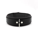 Madison 1.5" Stylish Padded Collar Regular or Locking Closure