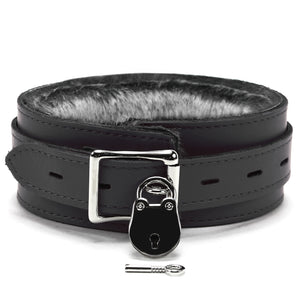 Bonn Chinchilla Fur Collar and Leash