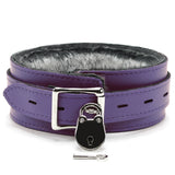 Bonn Chinchilla Fur Collar and Leash