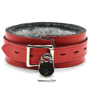 Bonn Chinchilla Fur Collar and Leash