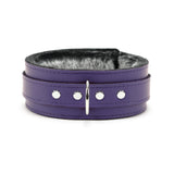 Bonn Chinchilla Fur Collar and Leash