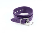 Atlanta Premium Latigo Leather Collar and Leash - <strong>Buy One, Get One 50% Off! See Details Below</strong>