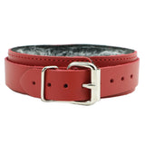 Atlas V 1.5" Collar Luxury Chinchilla Fur Leather Collar